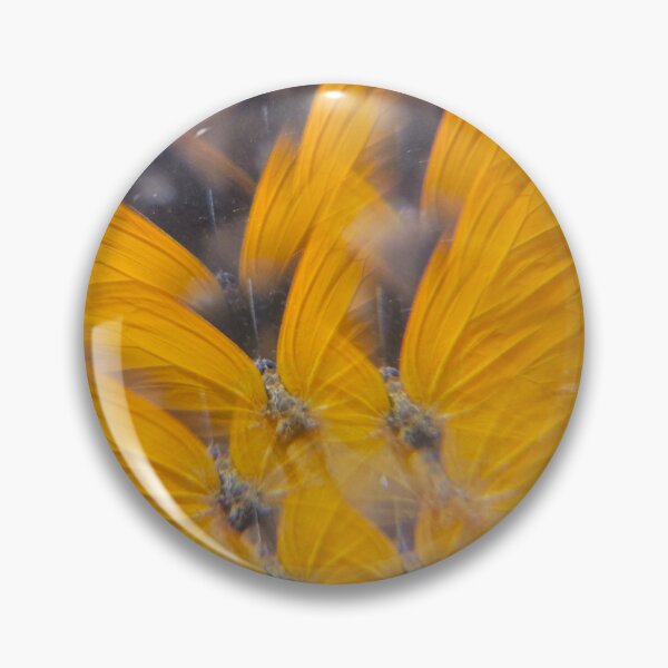 Item preview, Clouded Sulphur Sunburst: Sunshine Secret designed and sold by ElionSolis.