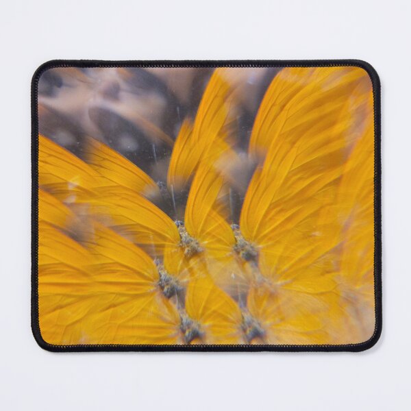 Item preview, Clouded Sulphur Sunburst: Sunshine Secret designed and sold by ElionSolis.