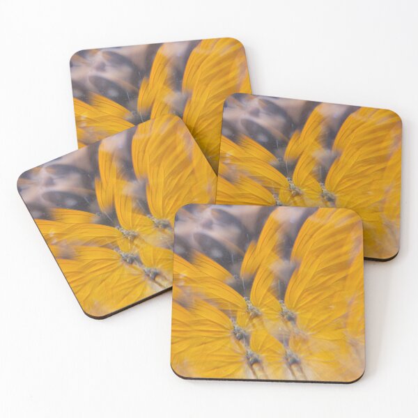 Item preview, Clouded Sulphur Sunburst: Sunshine Secret designed and sold by ElionSolis.