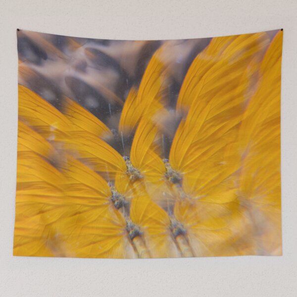 Item preview, Clouded Sulphur Sunburst: Sunshine Secret designed and sold by ElionSolis.
