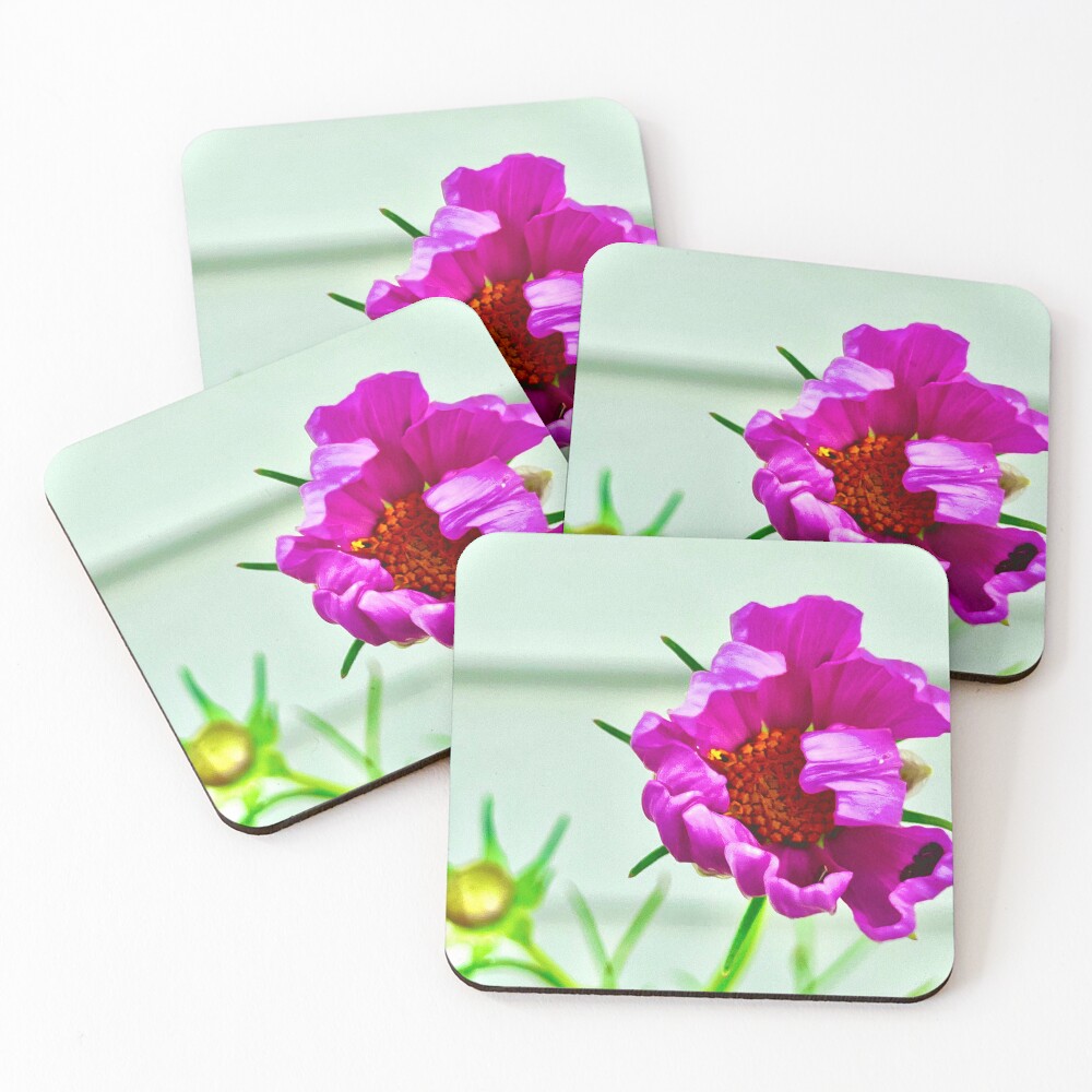 Item preview, Coasters (Set of 4) designed and sold by Racie596.