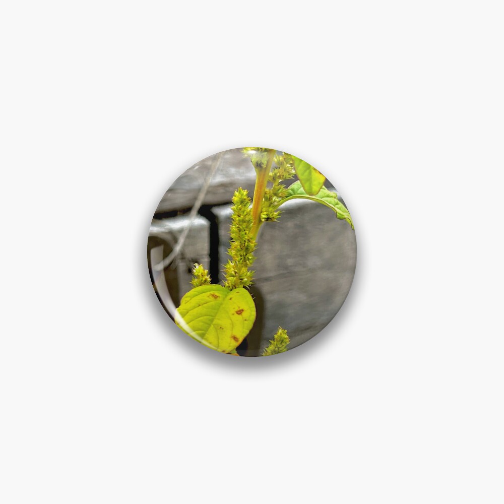 Vista previa del artículo con la obra «Chapa», diseñado y vendido por Racie596.