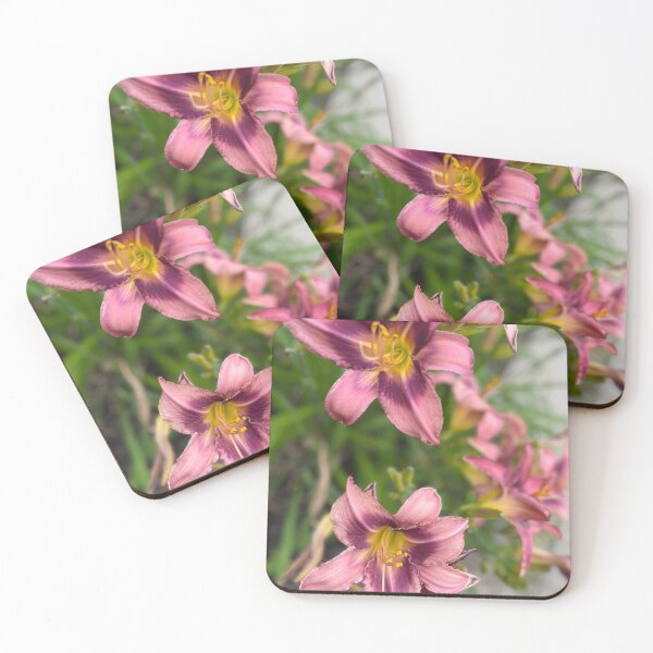 Artikelvorschau, Blumenfotografie mit lila und rosa Taglilien entworfen und verkauft von TaisiasCaptures.