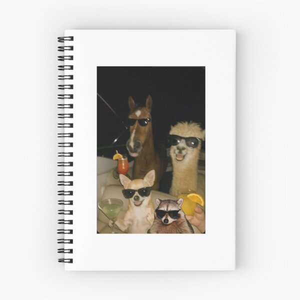 Item preview, memes animales designed and sold by Jadethegem28.