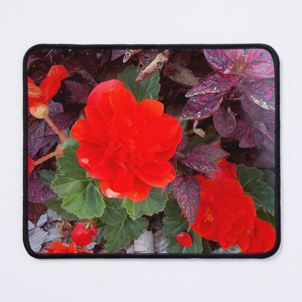 Item preview, Scarlet Begonia Blossom in the Summer Garden designed and sold by TaisiasCaptures.