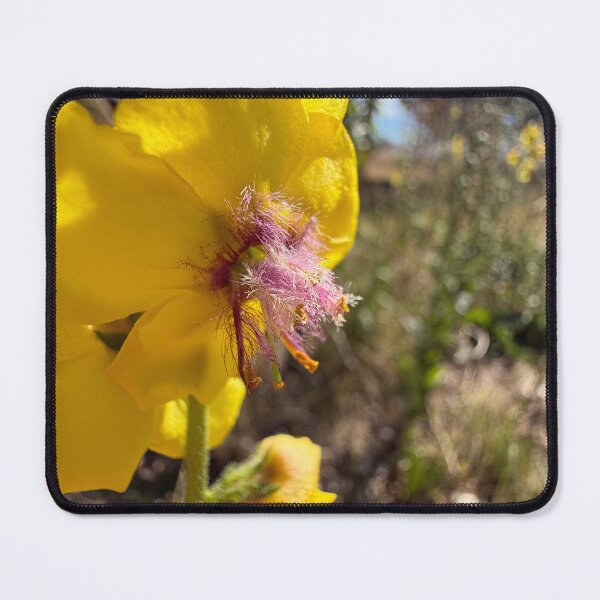 Item preview, Twiggy Mullein designed and sold by Betsy Phillips.