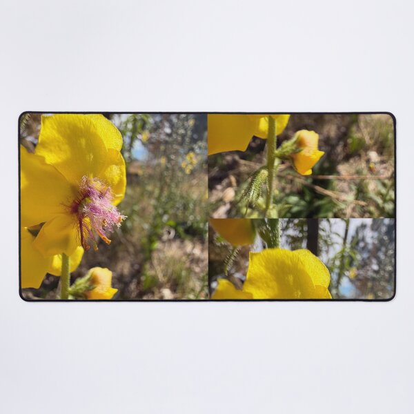 Item preview, Twiggy Mullein designed and sold by Betsy Phillips.