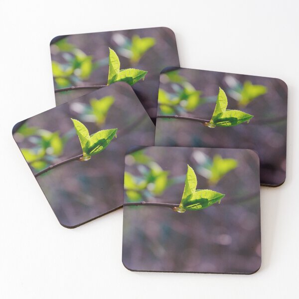 Item preview, Sunlit Leaf Sprout designed and sold by ShotsbyDesiree.