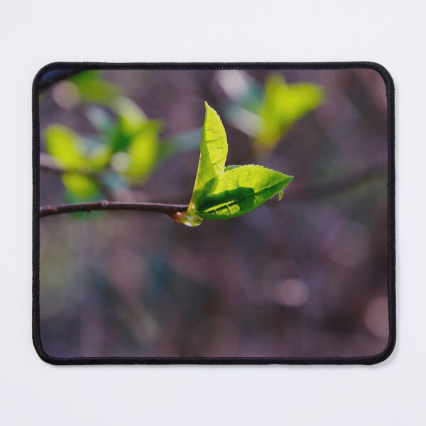 Item preview, Sunlit Leaf Sprout designed and sold by ShotsbyDesiree.