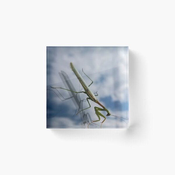 Item preview, Cloud Walker designed and sold by DaezieDepictions.