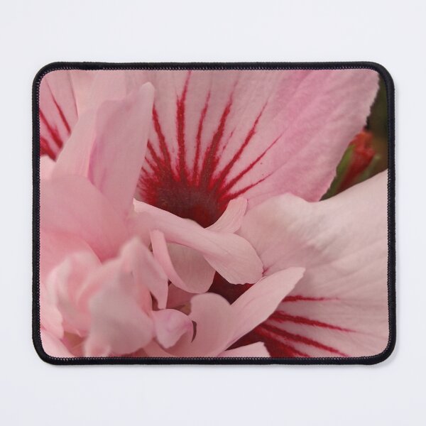 Item preview, Pink Rose of Sharon Starburst Centre, Macro Botanical Photography designed and sold by PrettyAround.