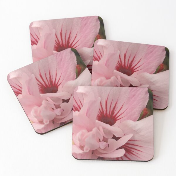 Item preview, Pink Rose of Sharon Starburst Centre, Macro Botanical Photography designed and sold by PrettyAround.