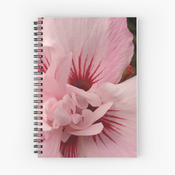 Item preview, Pink Rose of Sharon Starburst Centre, Macro Botanical Photography designed and sold by PrettyAround.