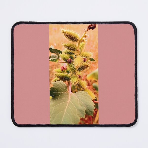 Item preview, Sun-kissed thorns designed and sold by DaezieDepictions.