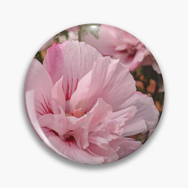 Item preview, Pink Rose of Sharon in Garden, Botanical Macro Photography designed and sold by PrettyAround.