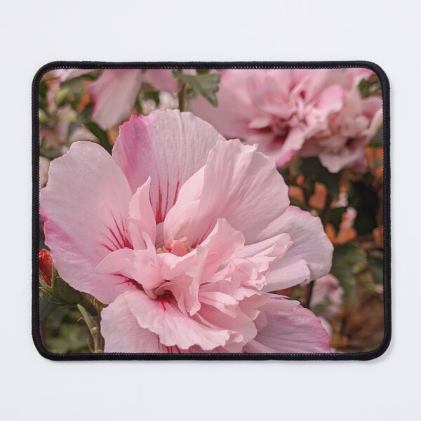 Item preview, Pink Rose of Sharon in Garden, Botanical Macro Photography designed and sold by PrettyAround.