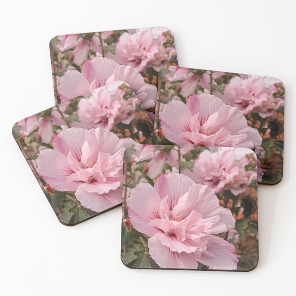Item preview, Pink Rose of Sharon in Garden, Botanical Macro Photography designed and sold by PrettyAround.