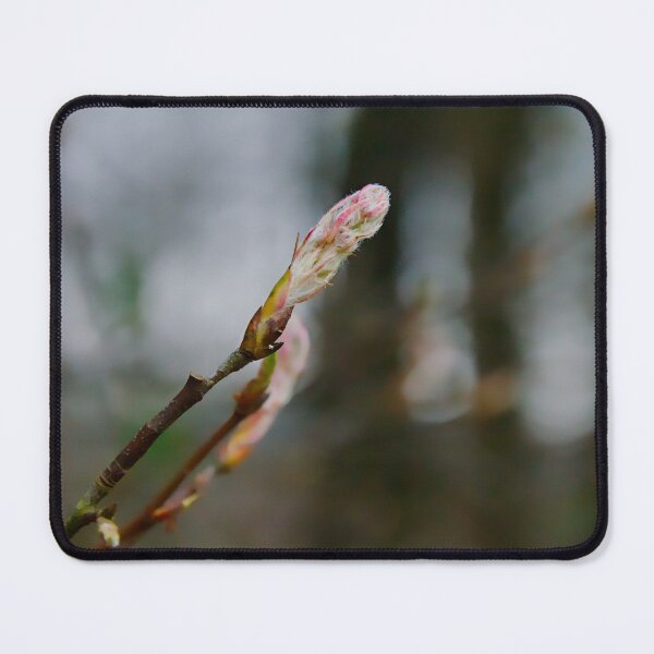 Item preview, Soft Pink Tree Bud designed and sold by ShotsbyDesiree.