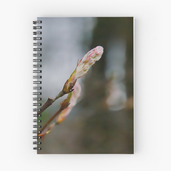 Item preview, Soft Pink Tree Bud designed and sold by ShotsbyDesiree.