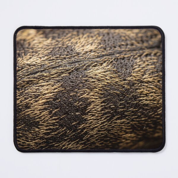 Item preview, The Gold Hairs Are the Surprise designed and sold by ASSEMBLE WONDER.