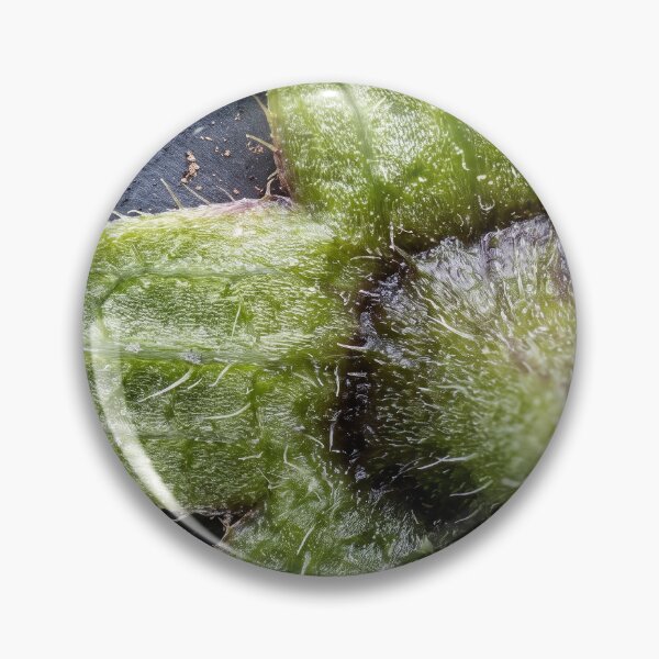 Item preview, That Little Green Star designed and sold by ASSEMBLE WONDER.