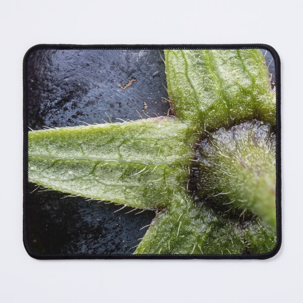 Item preview, That Little Green Star designed and sold by ASSEMBLE WONDER.