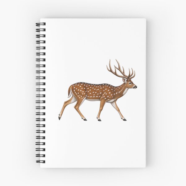 Item preview, Axis Buck designed and sold by TJT-GRAPHIX.