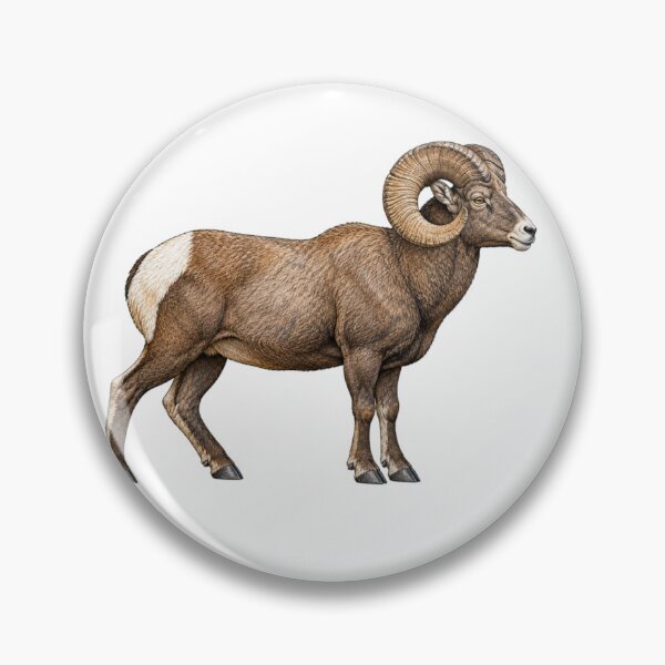 Item preview, Bighorn Sheep designed and sold by TJT-GRAPHIX.