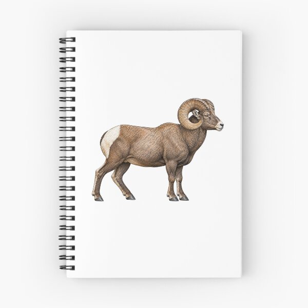 Item preview, Bighorn Sheep designed and sold by TJT-GRAPHIX.