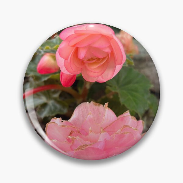 Item preview, A Touch of Coral designed and sold by TaisiasCaptures.