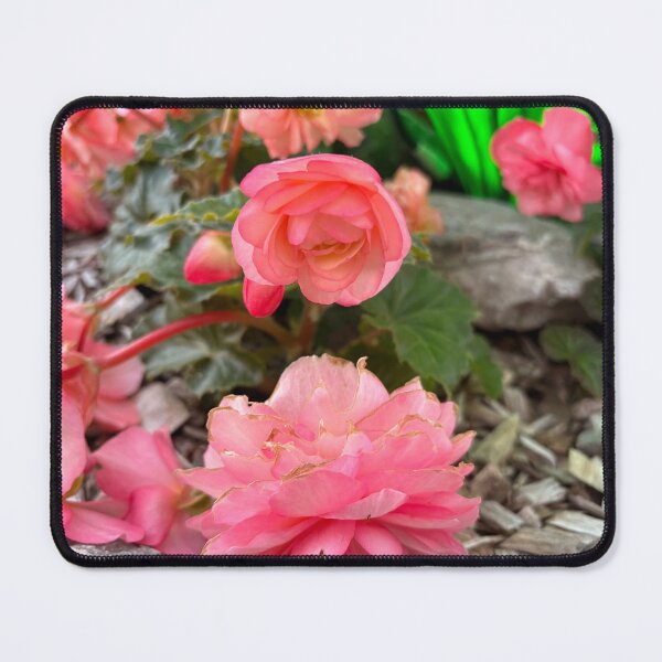 Item preview, A Touch of Coral designed and sold by TaisiasCaptures.
