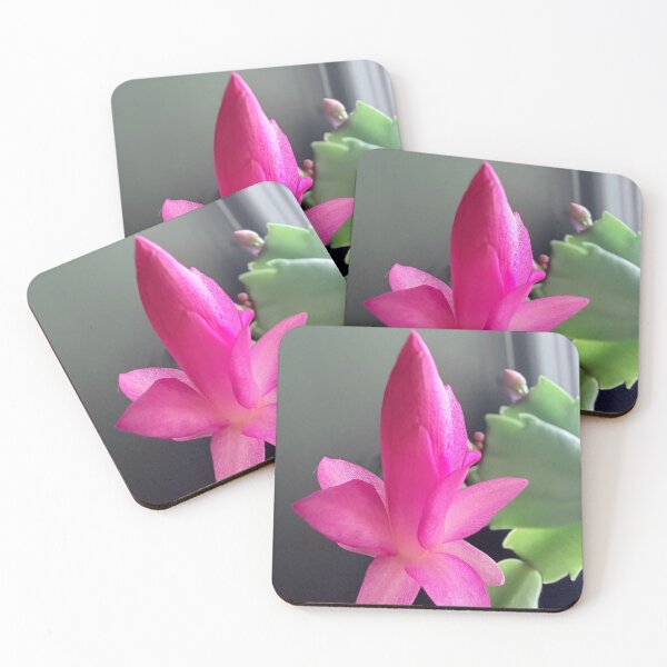 Item preview, Winter's Brightest Greeting designed and sold by TaisiasCaptures.