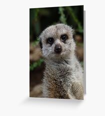 Yes...? Greeting Card