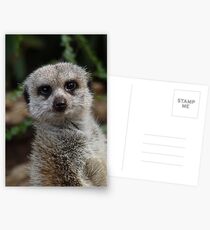 Yes...? Postcards