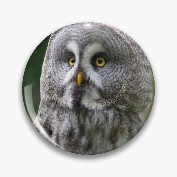 Item preview, Great Grey Owl designed and sold by brynmelys.