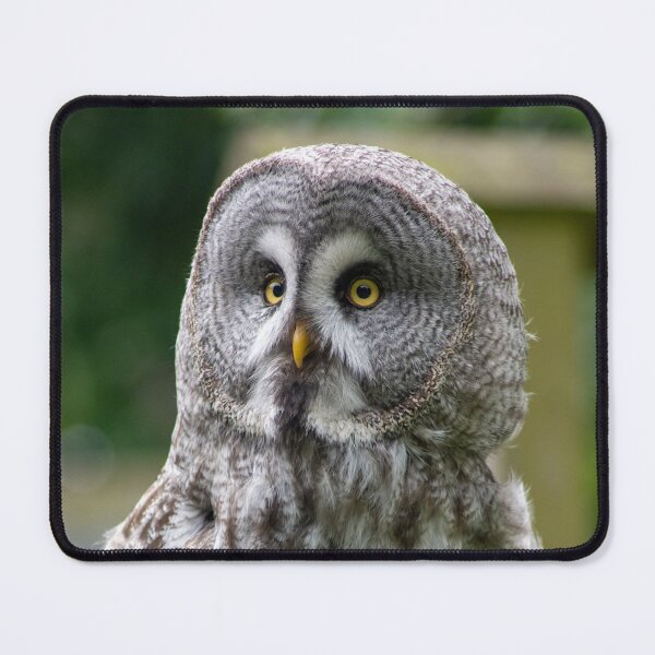 Item preview, Great Grey Owl designed and sold by brynmelys.