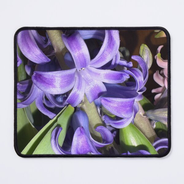 Item preview, Velvet Curls  designed and sold by TaisiasCaptures.