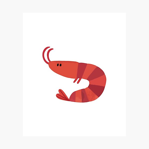 Item preview, A Day in the Life of a Shrimp. designed and sold by Borublue.