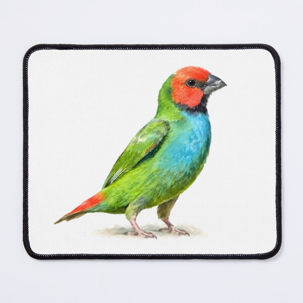Item preview, Fiji Parrotfinch (Erythrura pealii) designed and sold by HOMETOWN86.