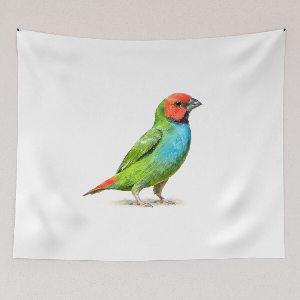 Item preview, Fiji Parrotfinch (Erythrura pealii) designed and sold by HOMETOWN86.