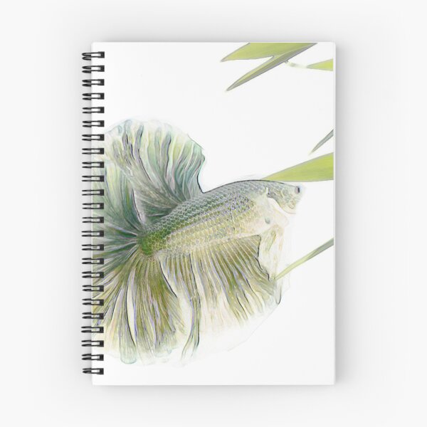 Item preview, Zen Betta designed and sold by BrisbaneBettas.