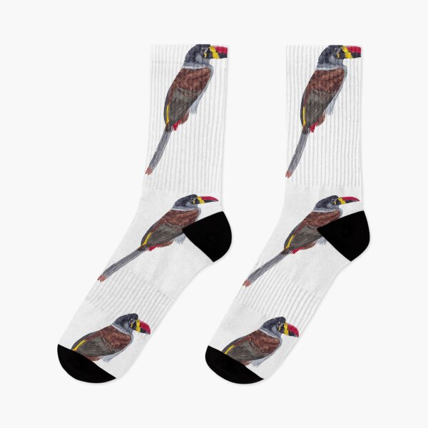 Item preview, GRAY BREASTED MOUNTAIN TOUCAN-Andigena hypoglauca designed and sold by BEATRIZ ABAITUA.