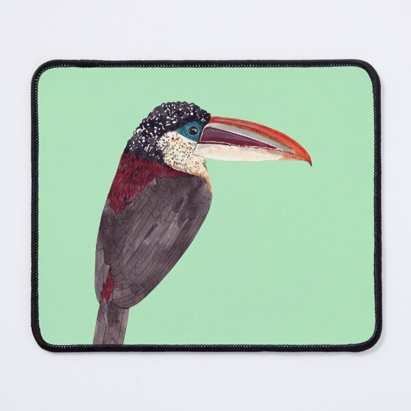 Item preview, CURL CRESTED ARAÇARI-Pteroglossus beauharnaisii designed and sold by BEATRIZ ABAITUA.
