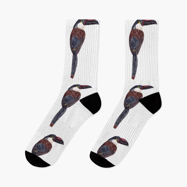 Item preview, BLACK BILLED MOUNTAIN-Toucan-Andigena nigrirostris designed and sold by BEATRIZ ABAITUA.