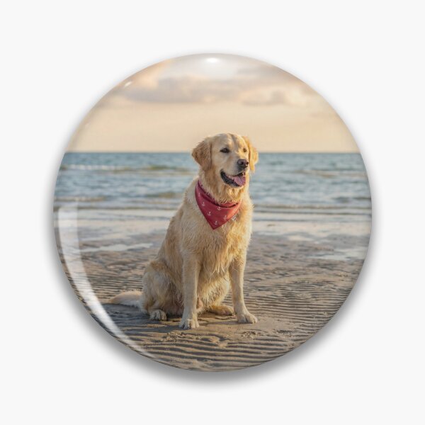 Item preview, Labrador Retriever Enjoys the Beach designed and sold by DigiArtAnimal.