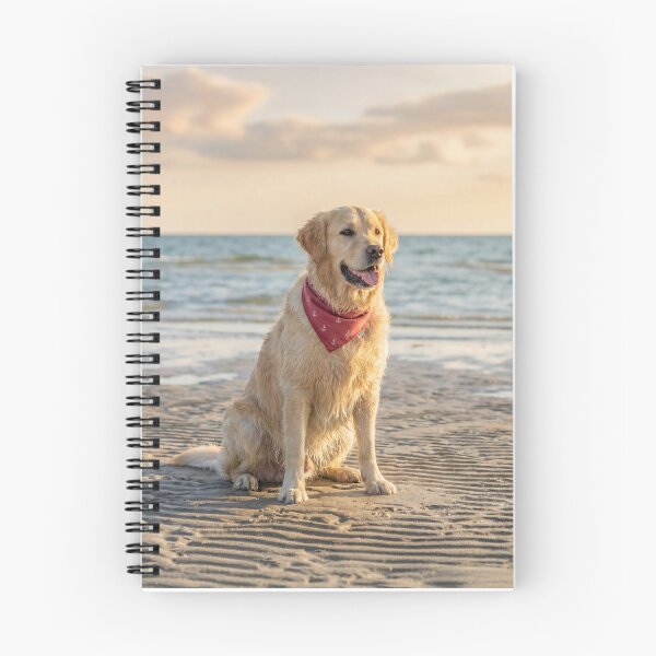 Item preview, Labrador Retriever Enjoys the Beach designed and sold by DigiArtAnimal.