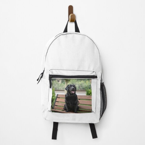 Item preview, Black Labrador Retriever Sitting on Bench designed and sold by DigiArtAnimal.