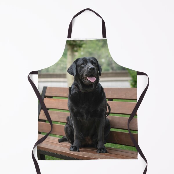 Item preview, Black Labrador Retriever Sitting on Bench designed and sold by DigiArtAnimal.