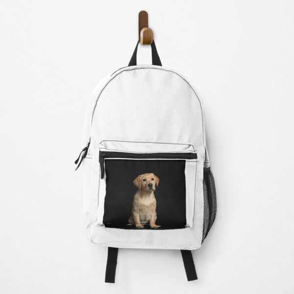 Item preview, Sitting Labrador Retriever Puppy designed and sold by DigiArtAnimal.