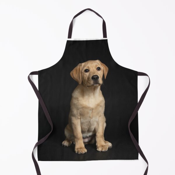 Item preview, Sitting Labrador Retriever Puppy designed and sold by DigiArtAnimal.